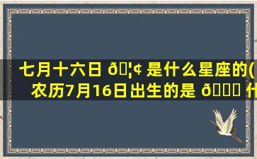 七月十六日 🦢 是什么星座的(农历7月16日出生的是 🐛 什么星座)